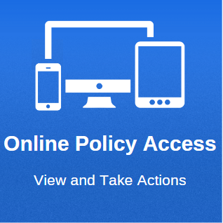 View policy and take actions through Online Policy Access