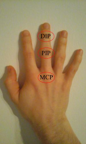 image of finger joints